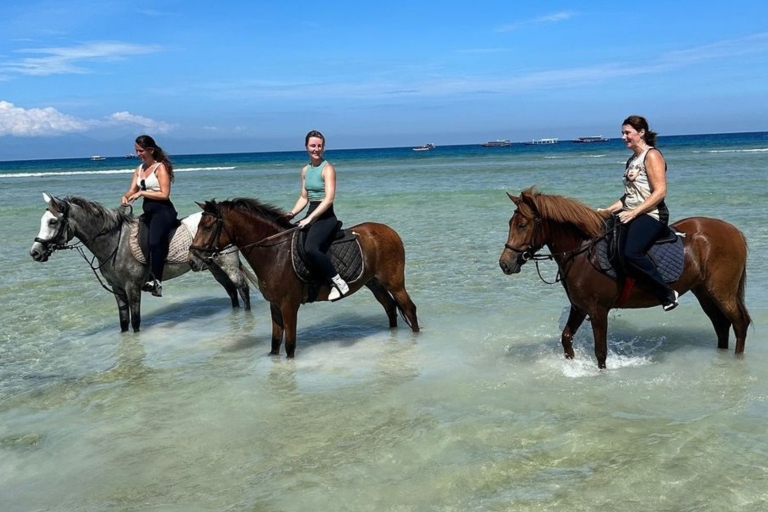 Gili Trawangan : Expériences d'équitation sur la plage1 heure de trajet