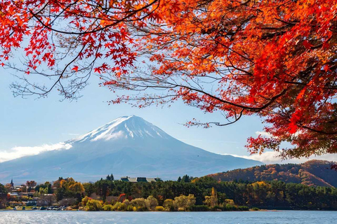 Tokyo: Full-day tour of the four Majestic spots of Mt Fuji