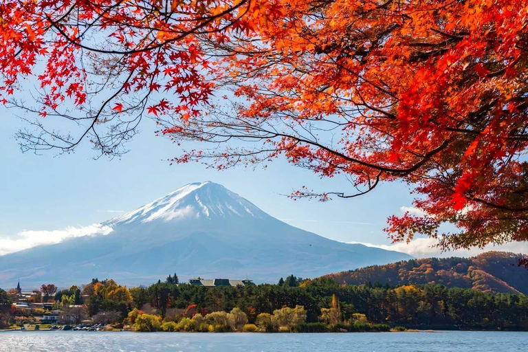 Tokyo - en heldagstur Dagsutflykt till de fyra majestätiska platserna på Fuji-berget