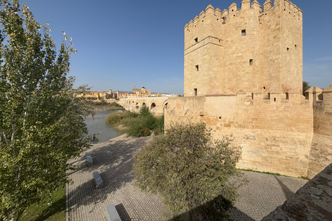 Sevilha a Córdoba com tempo livre ou Mesquita e SinagogaVisita guiada a Córdoba, Mesquita e Sinagoga.