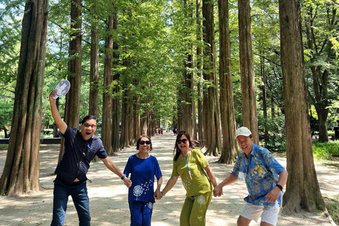 Seoul: Nami Island & Petite France K-Drama Tour