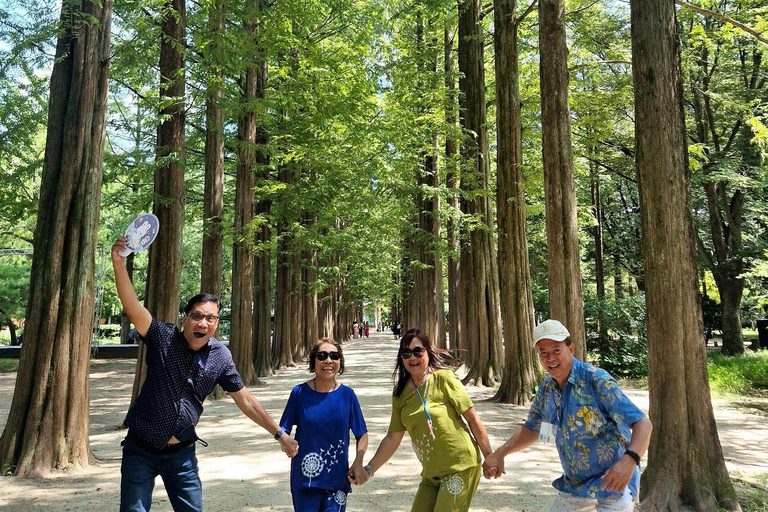 Seoul: Nami Island & Petite France K-Drama Tour