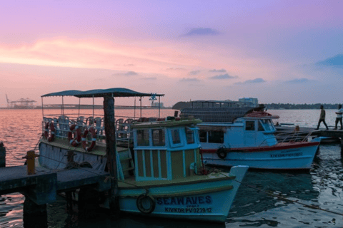 Punti salienti di Kochi, tour guidato di mezza giornata in autoPunti salienti di Kochi, tour guidato in auto di mezza giornata