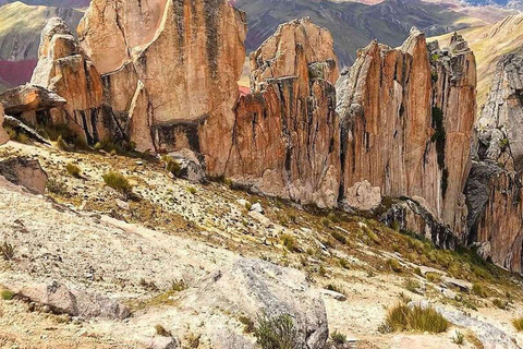 Cusco: Montagna Arcobaleno di Palcoyo Tutto incluso per 1 giorno