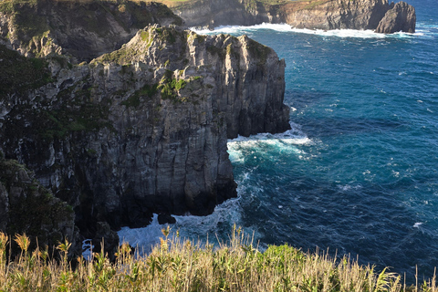 Northeast: Tour of Unspoiled Nature and Ribeira dos Caldeirões Northeast: Tour of Untouched Nature and Ribeira dos Caldeirões