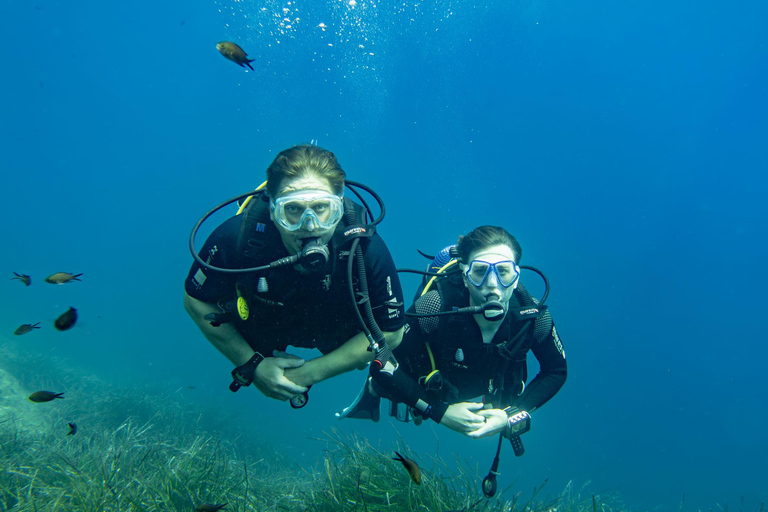 Mallorca: duiken zonder brevet met een duikinstructeur vanaf de boot - Cap de FormentorProbeer Scuba - Proefduiken