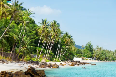 Koh Samui: Tour privato di mezza giornata in taxi nel sud del paese