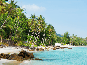 Koh Samui: Private Half-day Taxi Tour in the South