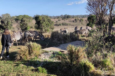 3-dagars safari Zanzibar till Nyerere Park med båt, bil och flyg