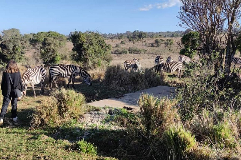 3-dagars safari Zanzibar till Nyerere Park med båt, bil och flyg