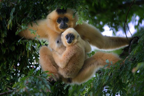 Ho Chi Minh City: Nam Cat Tien National Park 2-Day Tour