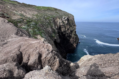 From Orange County: Channel Islands Private Day Tour