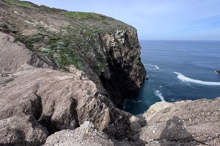 From Orange County: Channel Islands Private Day Tour