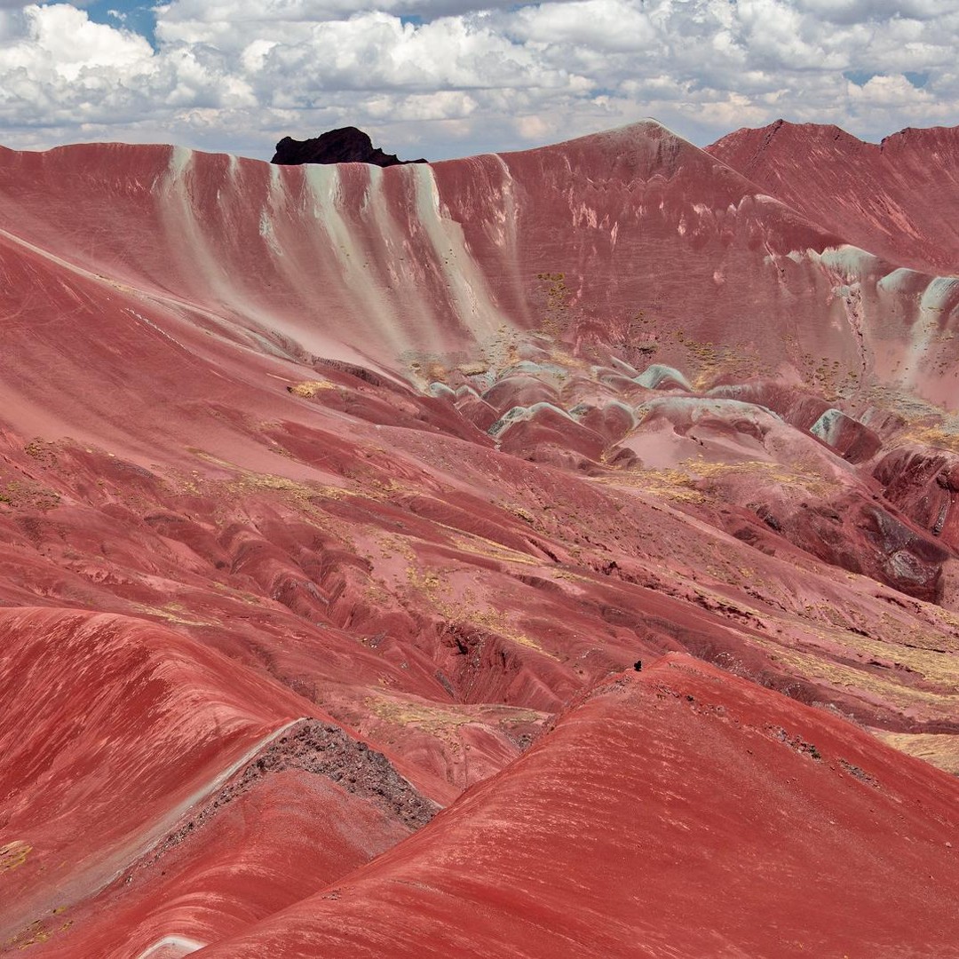 Galería de fotos para redes