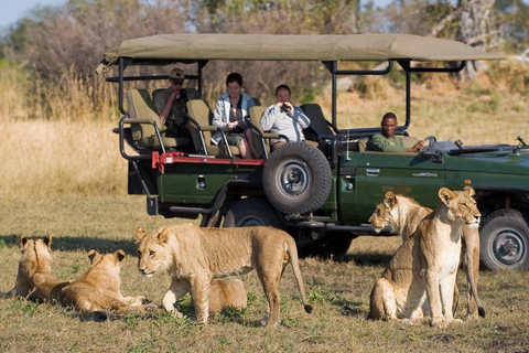 Parque Kruger y Cañón del río Blyde Safari de 4 días fr Johannesburgo