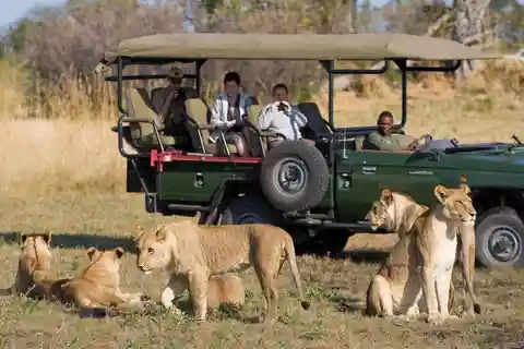 Kruger Park & Blyde River Canyon 4Day Safari från Johannesburg