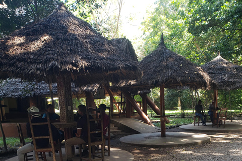 Zanzibar: Jozani forest, Butterfly center & Salaam cave tour Tour with Hotel pick up and drop off included