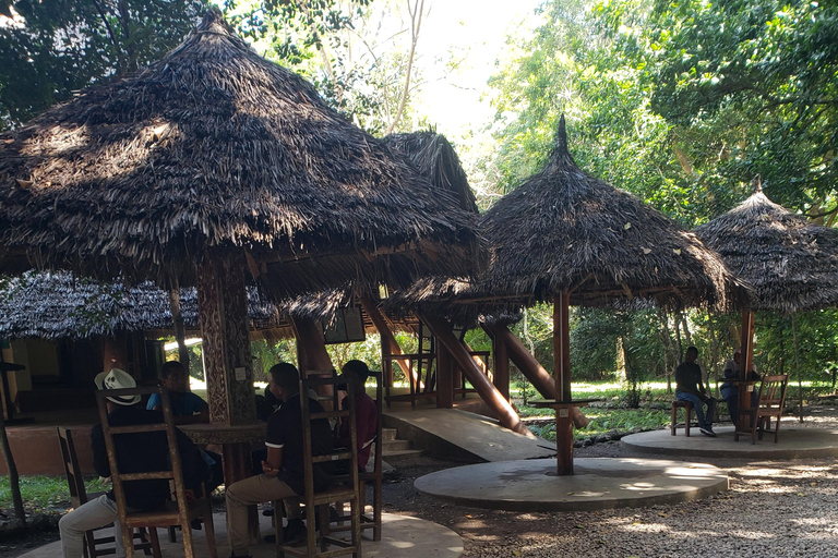 Zanzibar: Jozani forest, Butterfly center & Salaam cave tour Tour with Hotel pick up and drop off included