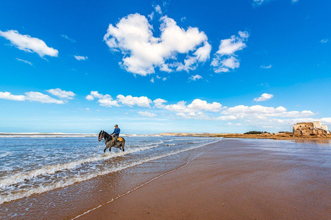 Day Trip To Essaouira From Marrakech With Guide