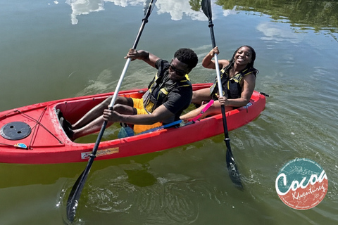 Florida: Indian River Daytime Manatee and Dolphin Kayak Tour Clear Bottom Kayak Day Tour
