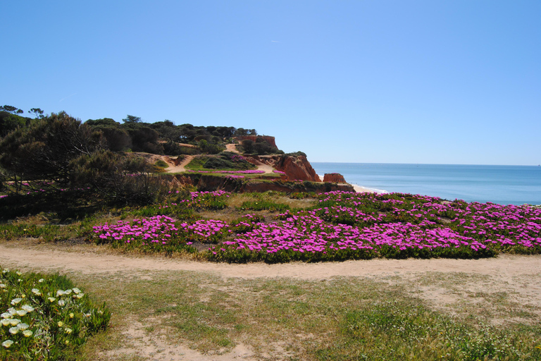 Albufeira: Algarve Guided Off-Road Electric Scooter Tour Countryside & Castle Tour - Paderne Off-Road Experience (2h)