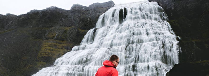 Depuis Isafjordur : visite privée de la cascade de Dynjandi et d'une ferme