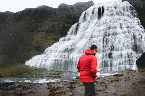 From Isafjordur: Private Dynjandi Waterfall & Farm Tour