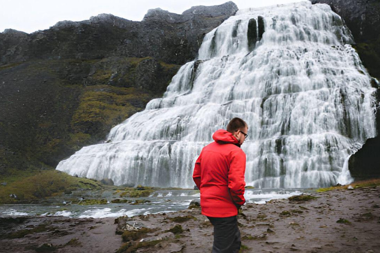 From Isafjordur: Private Dynjandi Waterfall & Farm Tour