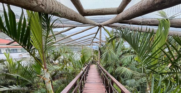 Madeira: Exotic Birds & Valleys 4x4 Safari with Local Guide