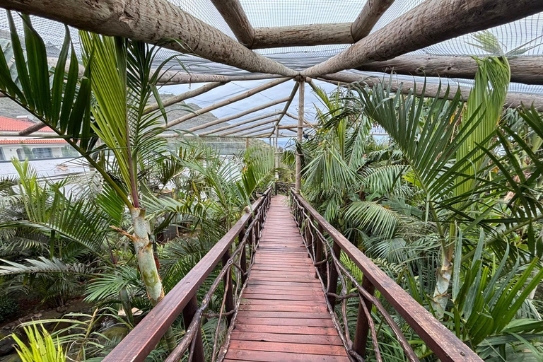 Madeira: Exotic Birds & Valleys 4x4 Safari with Local Guide Shared Exotic Birds & Valleys 4x4 Expedition Local Guide