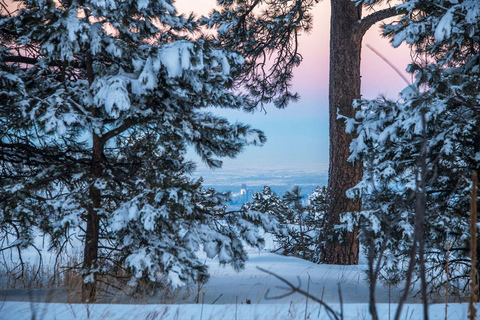 Denver: Góry Skaliste: półdniowa wycieczka z przewodnikiemDenver: Rocky Mountain Escape