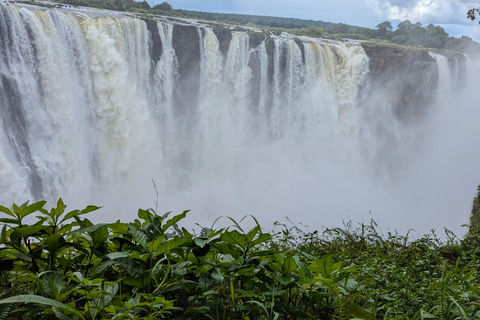 Victoria Falls Guided Tour + Devils or Angel's pool Swimming