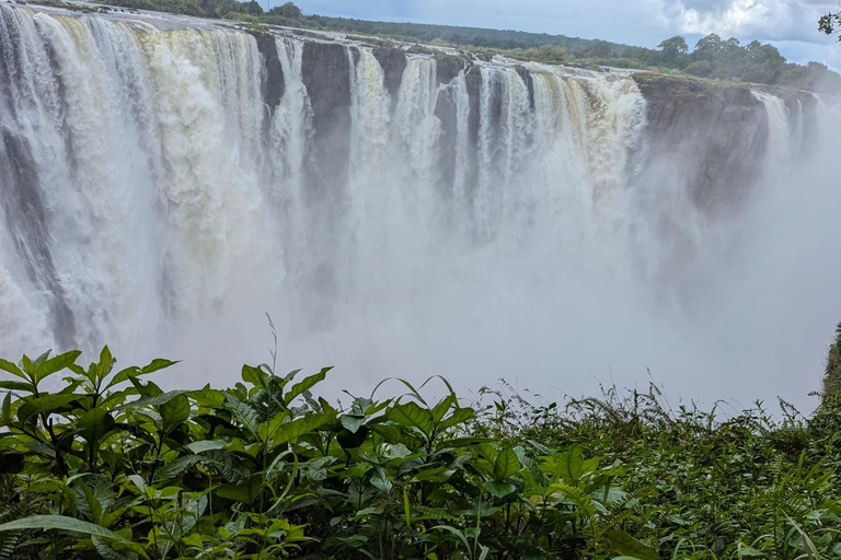 Victoria Falls Guided Tour + Devils or Angel's pool Swimming