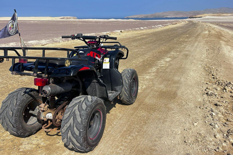 Arequipa: Las Rocas Quad Tour & Chocolate Workshop