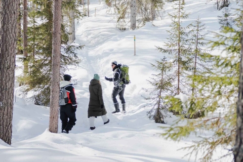 Rovaniemi: Cascadas congeladas de la caminata del cañón Korouoma