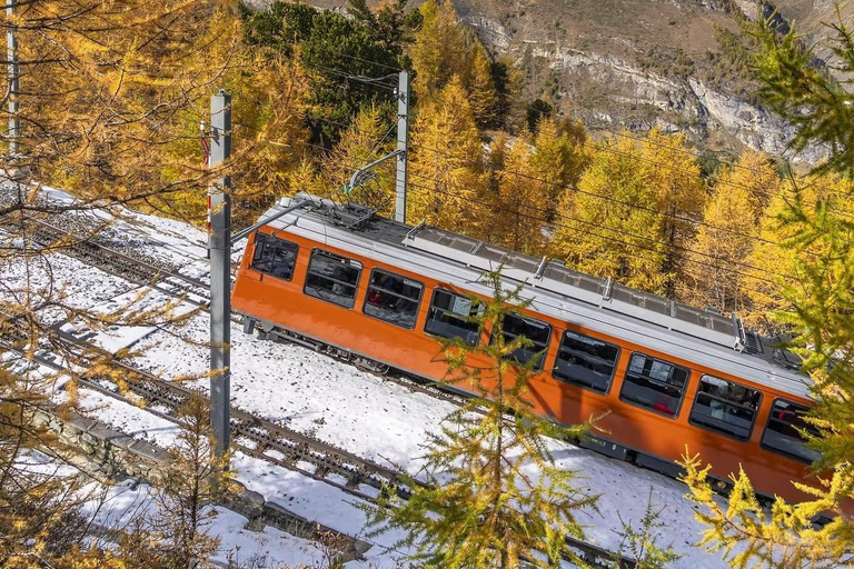 Privé-excursie van Genève naar Montreux en het kasteel van Chillon