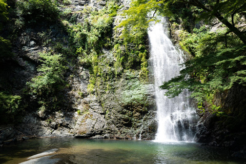 Osaka: Minoh Minoh, Katsuoji Temple &amp; Minoh Falls dagsutflykt