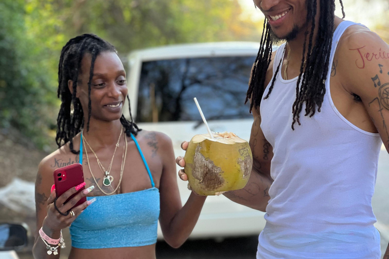 Montego Bay: ATV, Zipline, Catamaran, and Horseback Tour