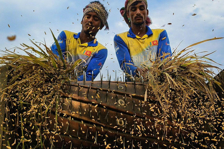 Kochi: Full-Day tour with Temple, Farming & Village Life