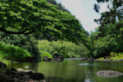 Oahu: Wycieczka prywatna Waikiki - Pełny krąg wysp - Możliwość dostosowania