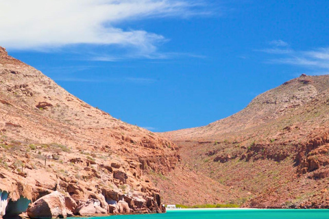 From La Paz: Espíritu Santo Island Tour all inclusive From La Paz: Espíritu Santo Island Tour
