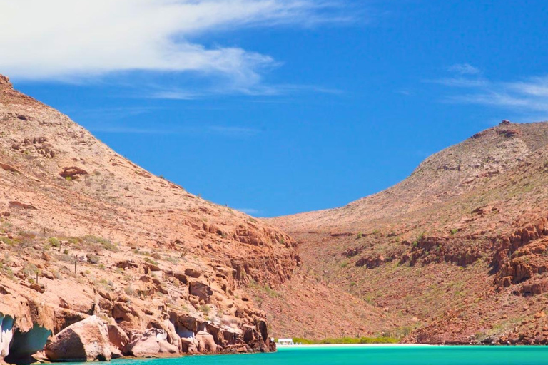 From La Paz: Espíritu Santo Island Tour all inclusive From La Paz: Espíritu Santo Island Tour