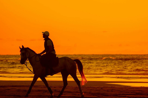 Saint Lucia: Sunset Horseback Ride & Ocean Swim Experience