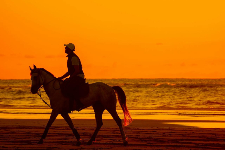 Saint Lucia: Sunset Horseback Ride & Ocean Swim Experience