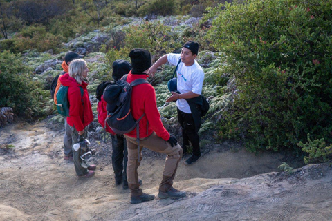 From Banyuwangi: Day Trip to Ijen Volcano with Guided Trek From Banyuwangi: Guided Shared Group Ijen Volcano Day Tour