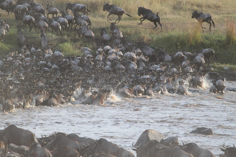 3-Day Small Group Safari to Maasai Mara: Adventure Awaits