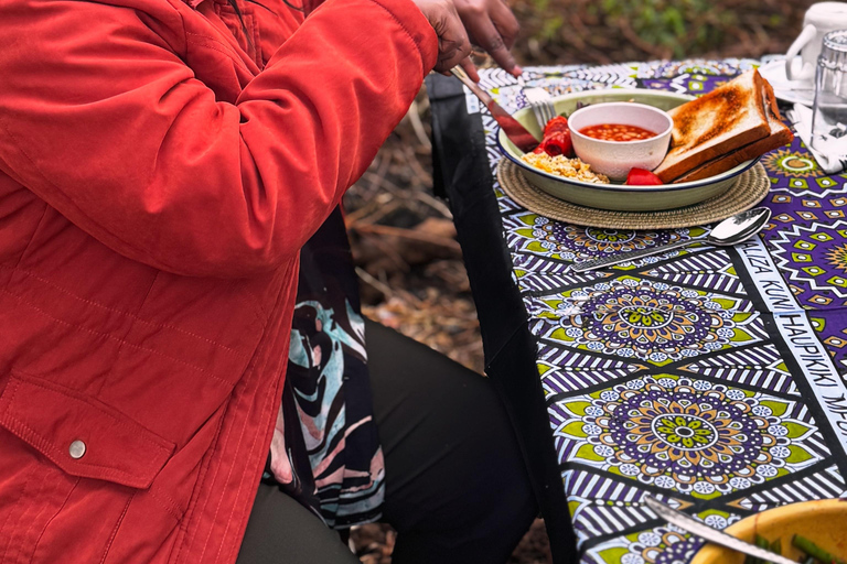 Full Day Nairobi National Park Safari with Meals