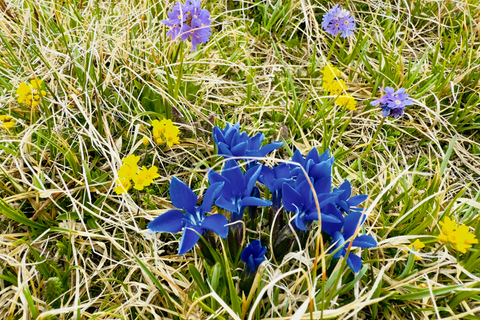 Yerevan: Azhdahak Mountain Hike with Jeep Ride