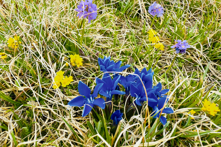 Yerevan: Azhdahak Mountain Hike with Jeep Ride