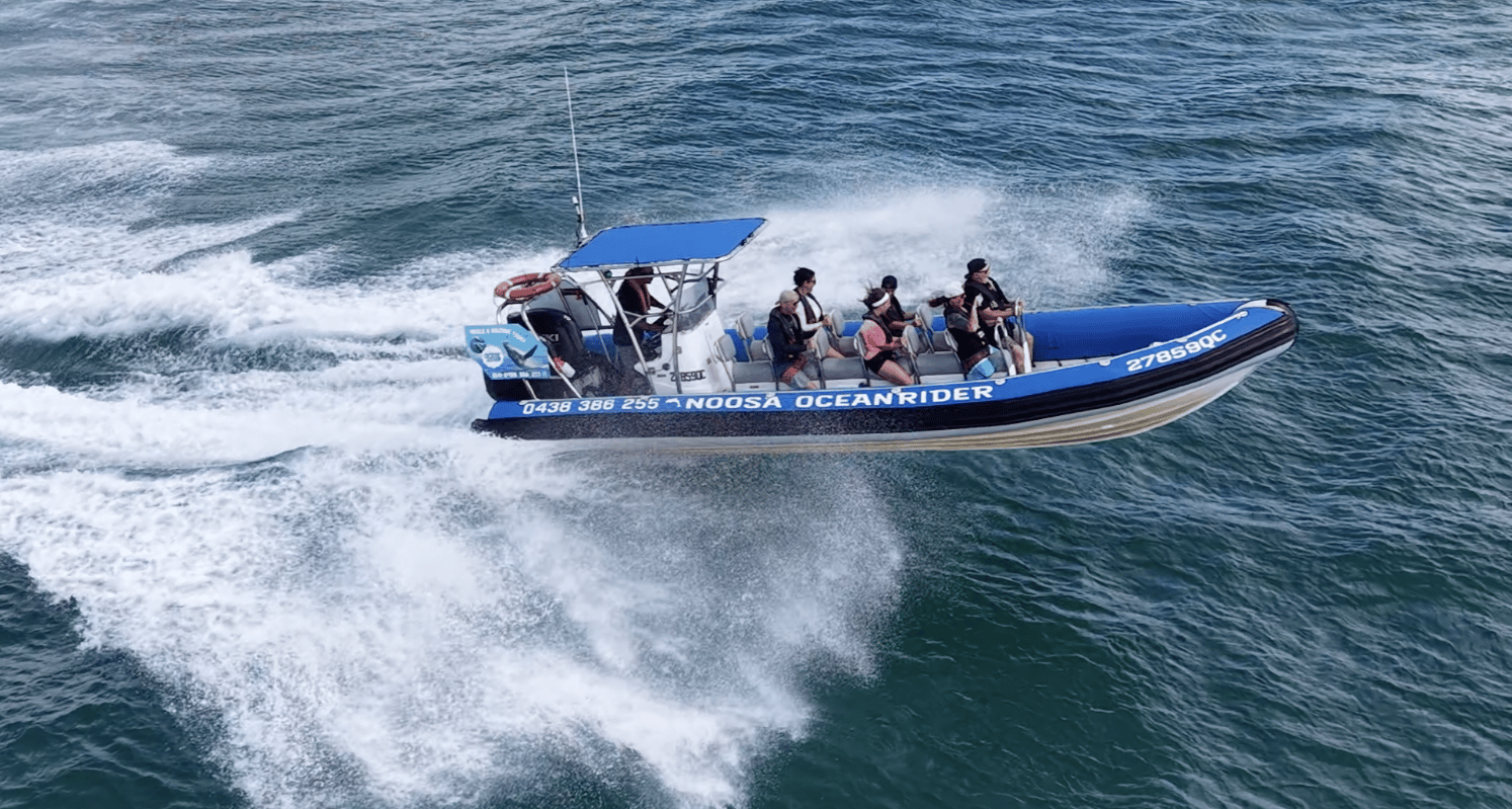 Noosa: Whale Watching Tour